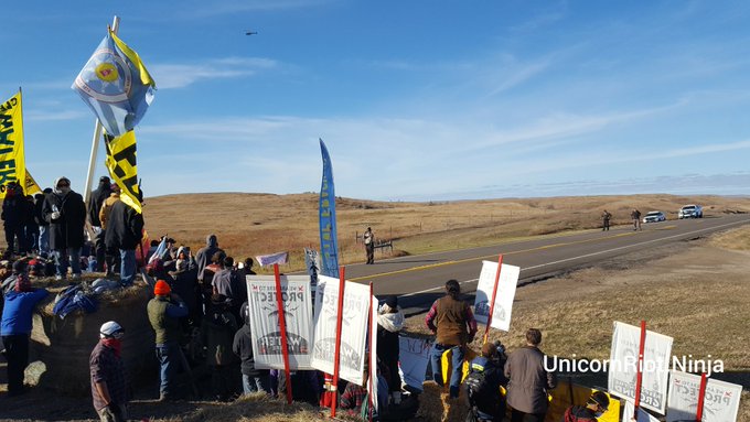 View image on Twitter