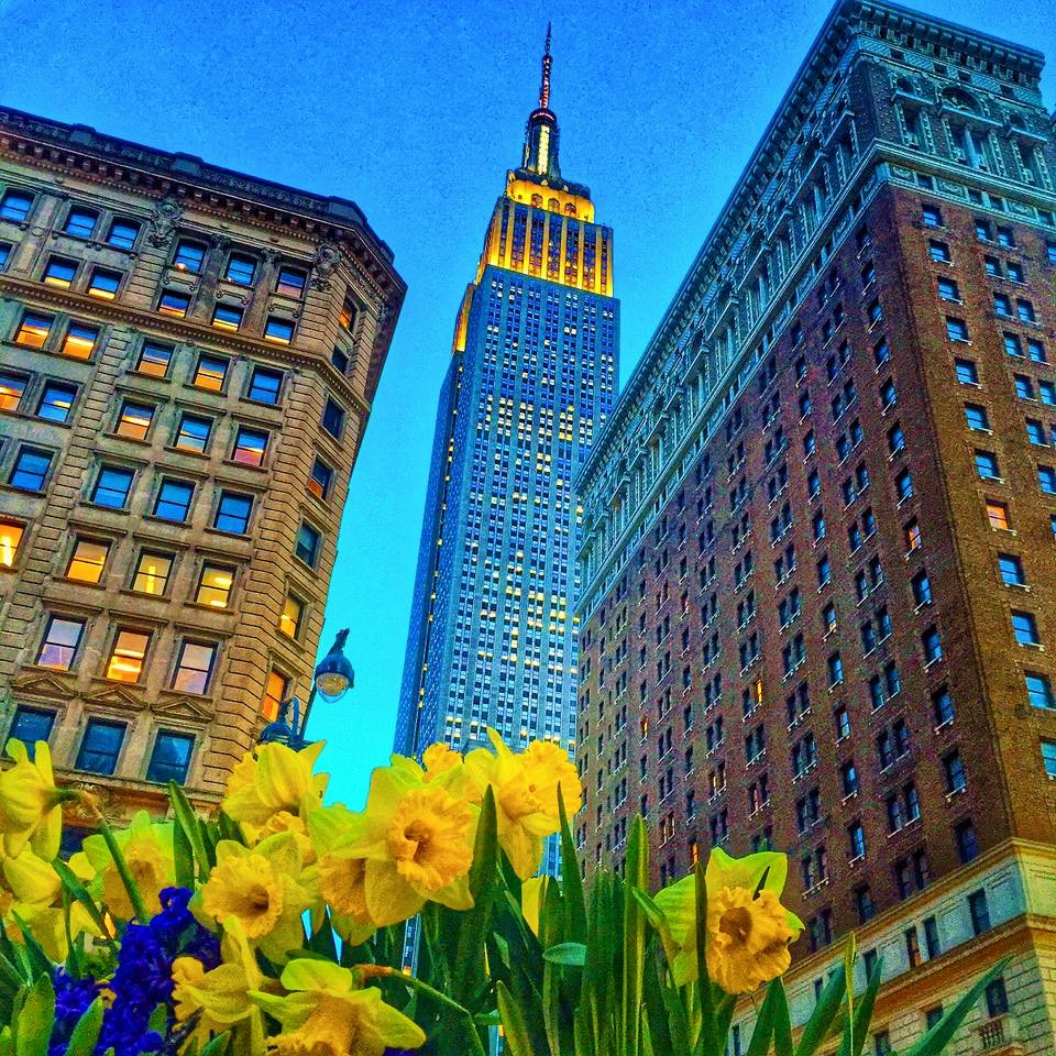 Empire State Building On Twitter Spring Summer Winter Or Fall Empire State Building On Twitter