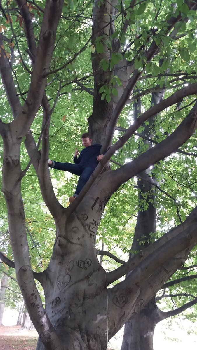 moulin_maxime's tweet photo. Chui dans mon arbre t'es dans ta jalousie https://t.co/I4EEUVvOSW