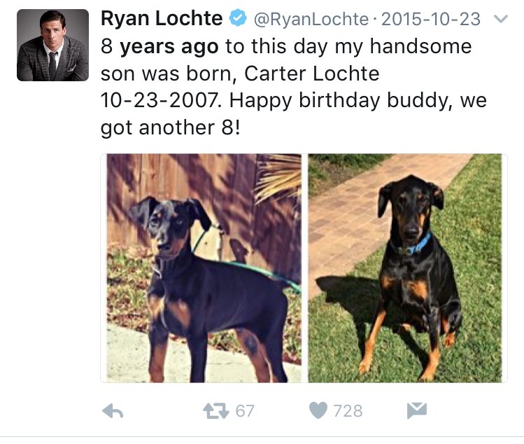 wholegrainne's tweet image. how old is Ryan Lochte's dog