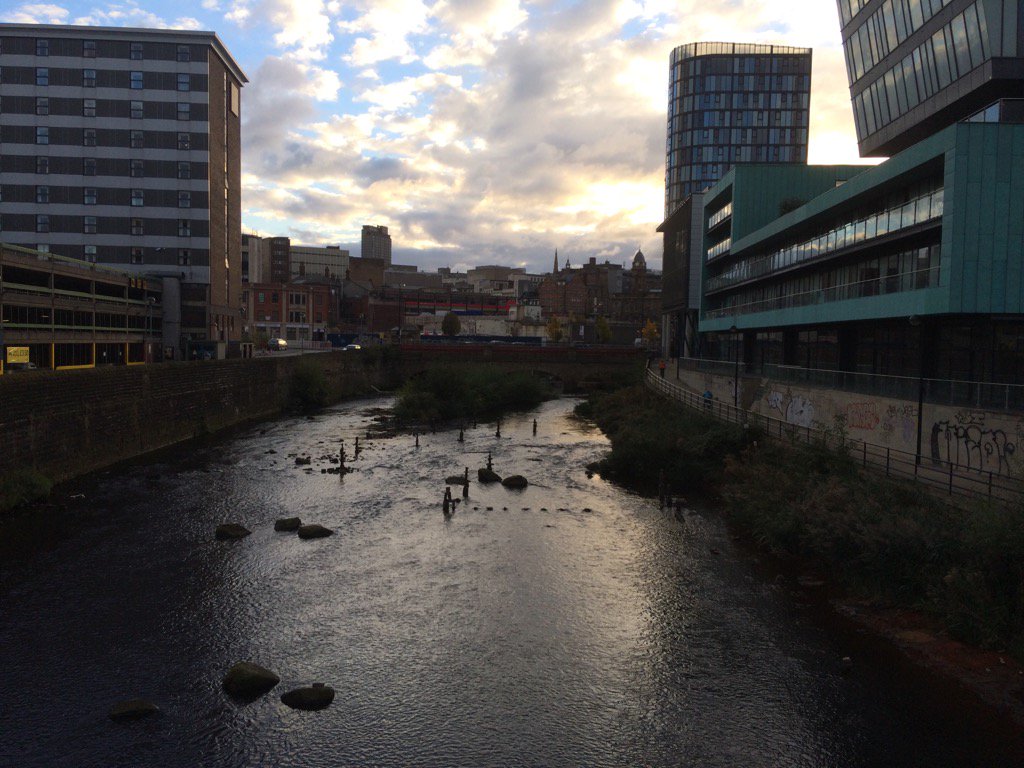 Walked along the River Don today. Loving getting to know Sheffield. #fiveweirswalk