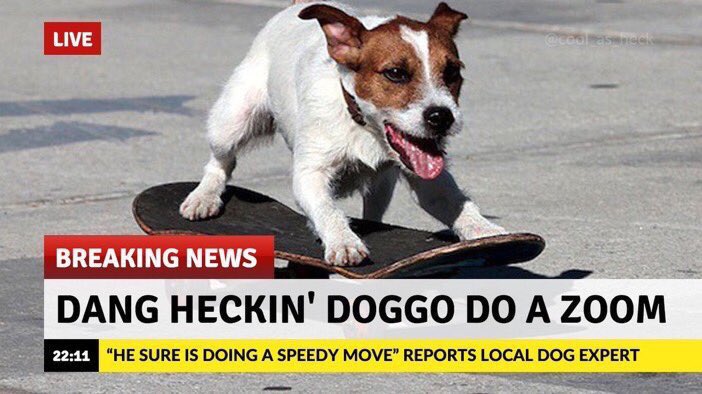 m_berthaaa's tweet photo. roses are red, witches ride brooms https://t.co/k18DLg5k6O