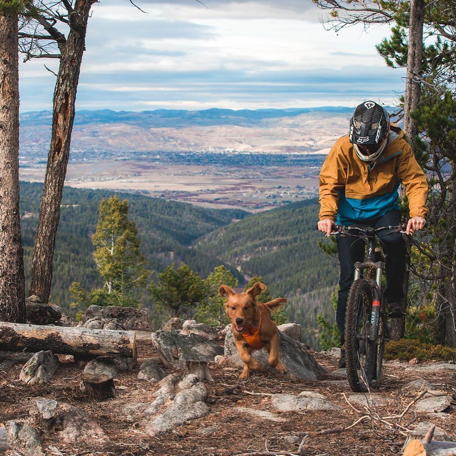 andyaustinphoto's tweet photo. Meet Mougley, the adventure companion of @jremenda. #RethinkButte #SouthwestMontana https://t.co/kklQWpnW1n