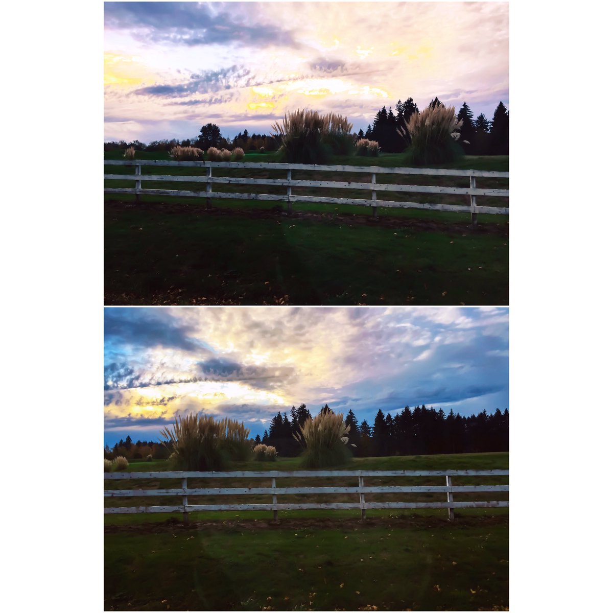 meagannnielsen's tweet photo. sunset views in the middle of a farm. ☀️🍂#LifeWithAnAnderson. https://t.co/CDXWvEQ2MG