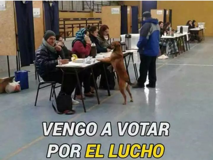 RlopeX72's tweet photo. @MuchoGustoMEGA https://t.co/bSlg7k52CS