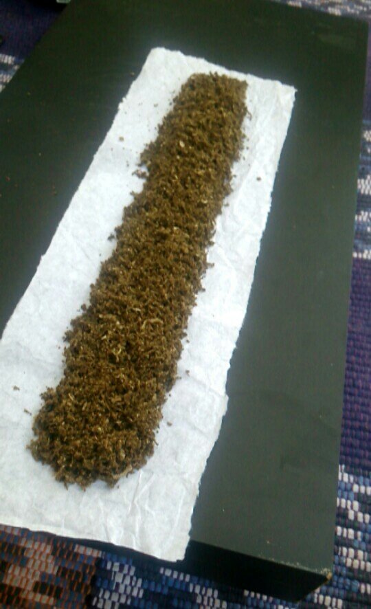 chapei_4i20's tweet photo. Só um fininho pro domingo!!
#Boooooa #Domingood #Verdiiin #25g https://t.co/tVlDQ6aA7E