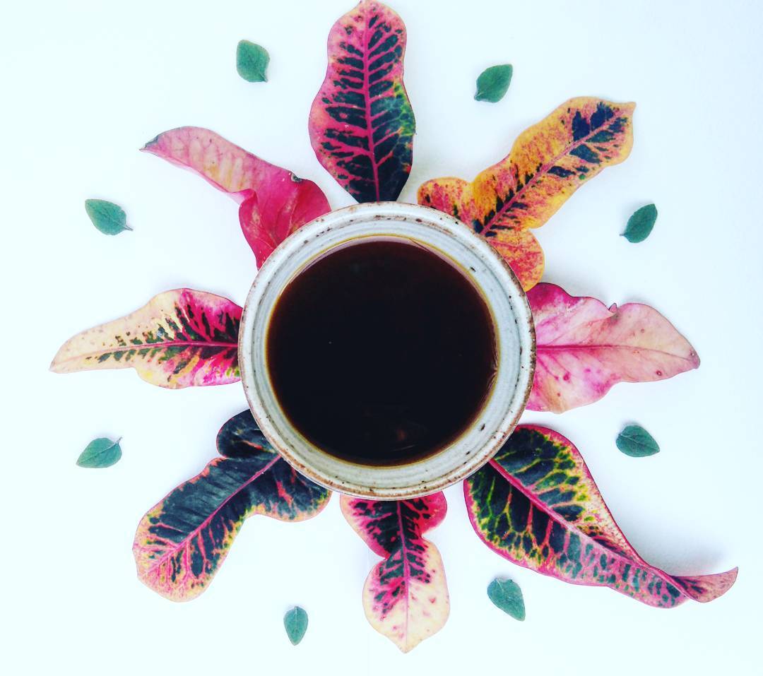 5Senses's tweet photo. We're down to our last bag of #limaputri from @tr_collective #sumatra! Get your order in ASAP: https://t.co/Bk3PMISDei
π· IG laura.bratti https://t.co/Z3v97Hzyvg
