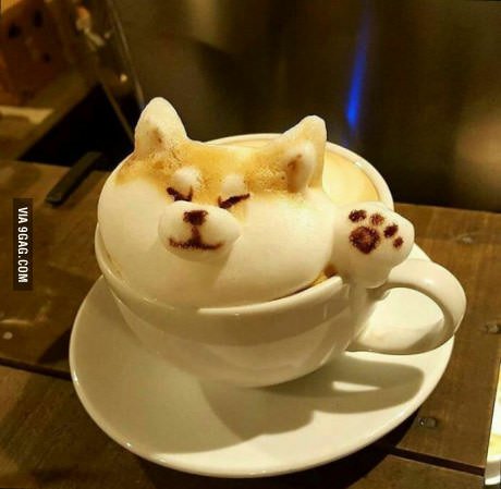 BitcoinBabeAU's tweet image. Doge coffee #sowow