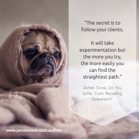 JmsCrk's tweet photo. The secret to marketing is....

#smallbusiness #marketing #onlinemarketing https://t.co/dn5VTuuQCs