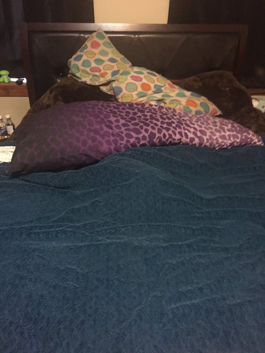 waruruppi's tweet image. Where's Sami? #findthedog