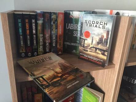 lordgolemord's tweet image. My collection from 2015 February, 2015 July, 2016 March, 2016 October. @jamesdashner i&apos;m proud of these pics. 
#DashnerArmy forever💫