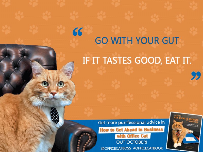 SimonSchusterAU's tweet photo. #ProTip from  @officecatboss No.2...#MondayMoti #OfficeCatBook #GoWithYourGut https://t.co/60mRFn7SYY