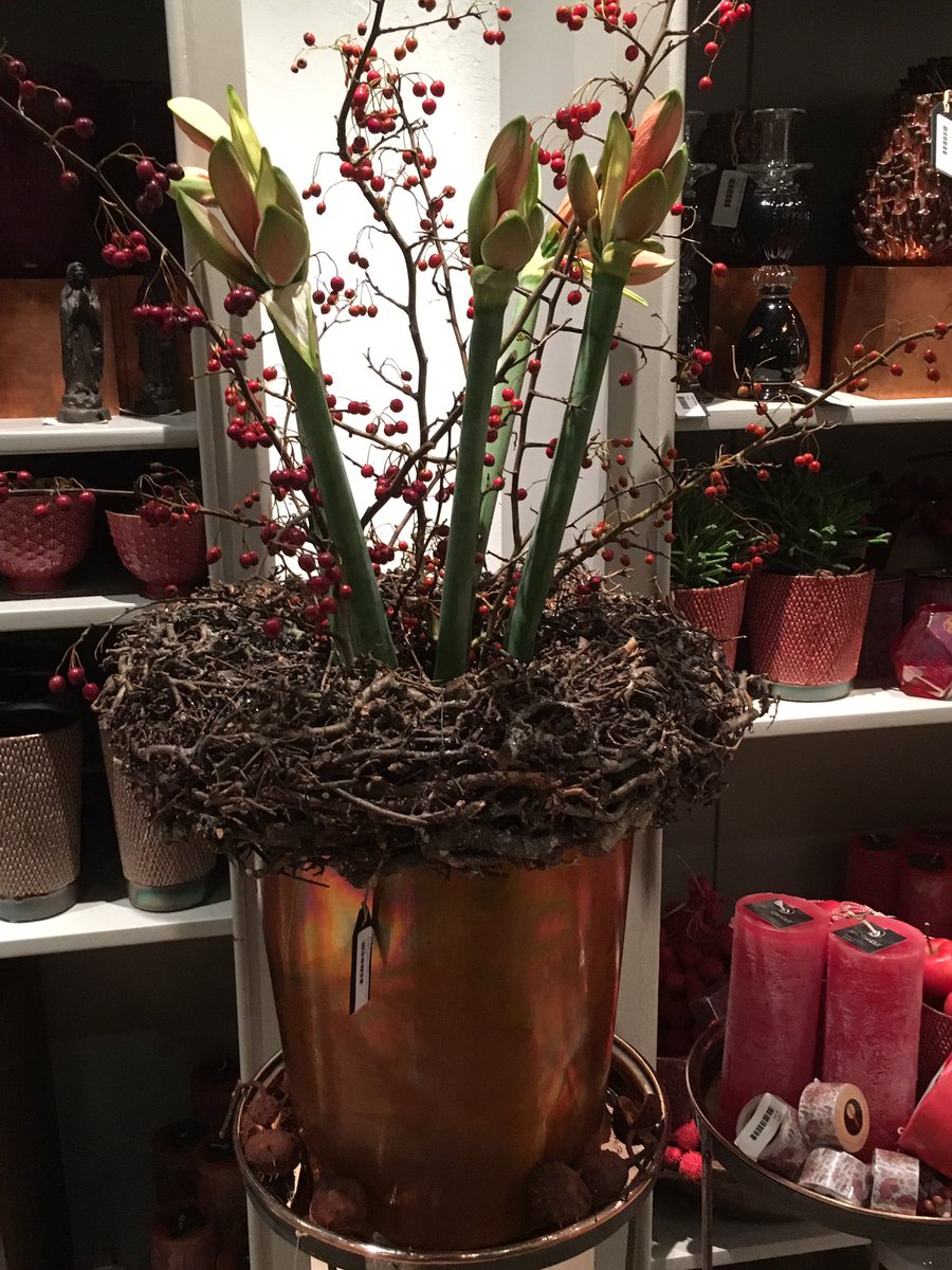JannekeBiemond's tweet photo. Feestje om te werken met seizoensbloemen &amp; nieuwe collectie...
Wees welkom en bewonder kortom: kom &amp; sea https://t.co/efZKE24vi6