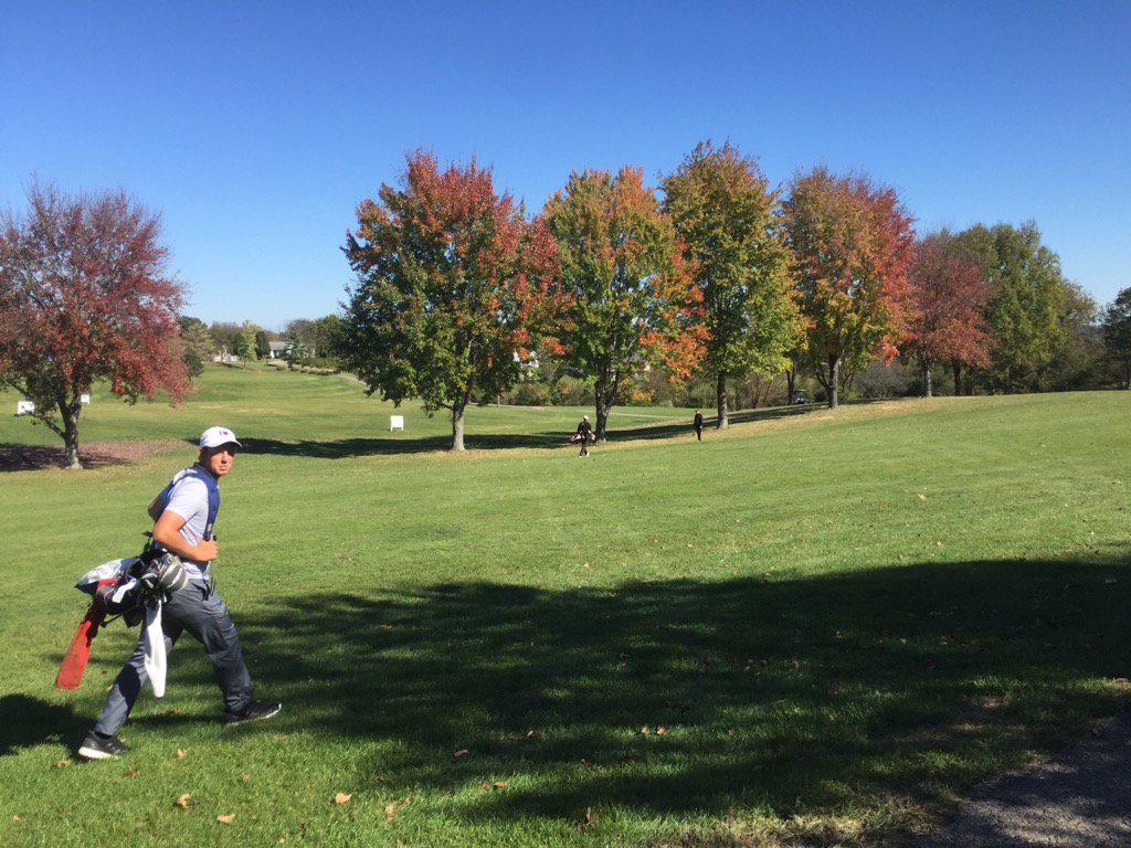 Emily Hamilton tweet media