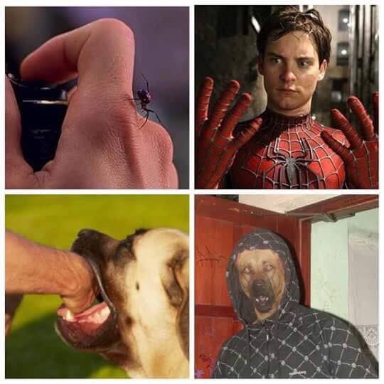 No mamen jajajajajajajaja