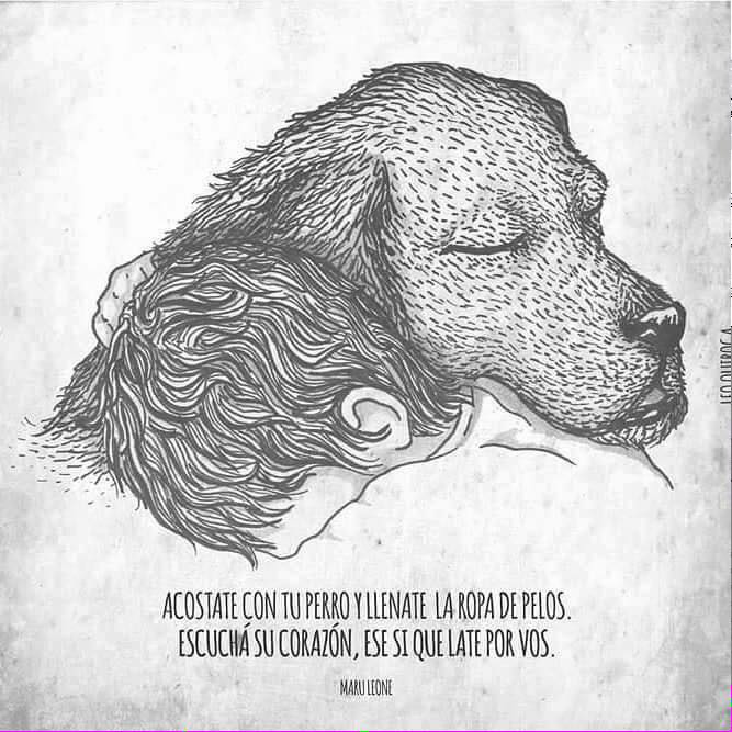 KateMillerGems's tweet photo. El mejor amigo del humano. https://t.co/7WR2yKuNL7
