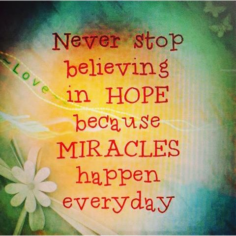 widowflow's tweet image. 