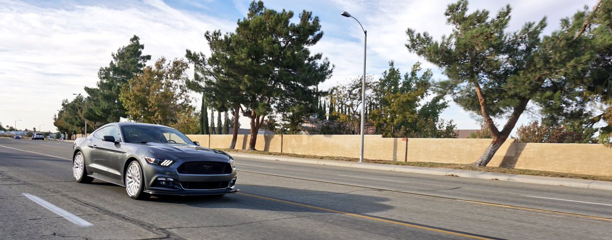 rb2jz's tweet image. Looking for people to hit on a fine afternoon. #mustangproblems #5pointslow owner @dannyfondu
