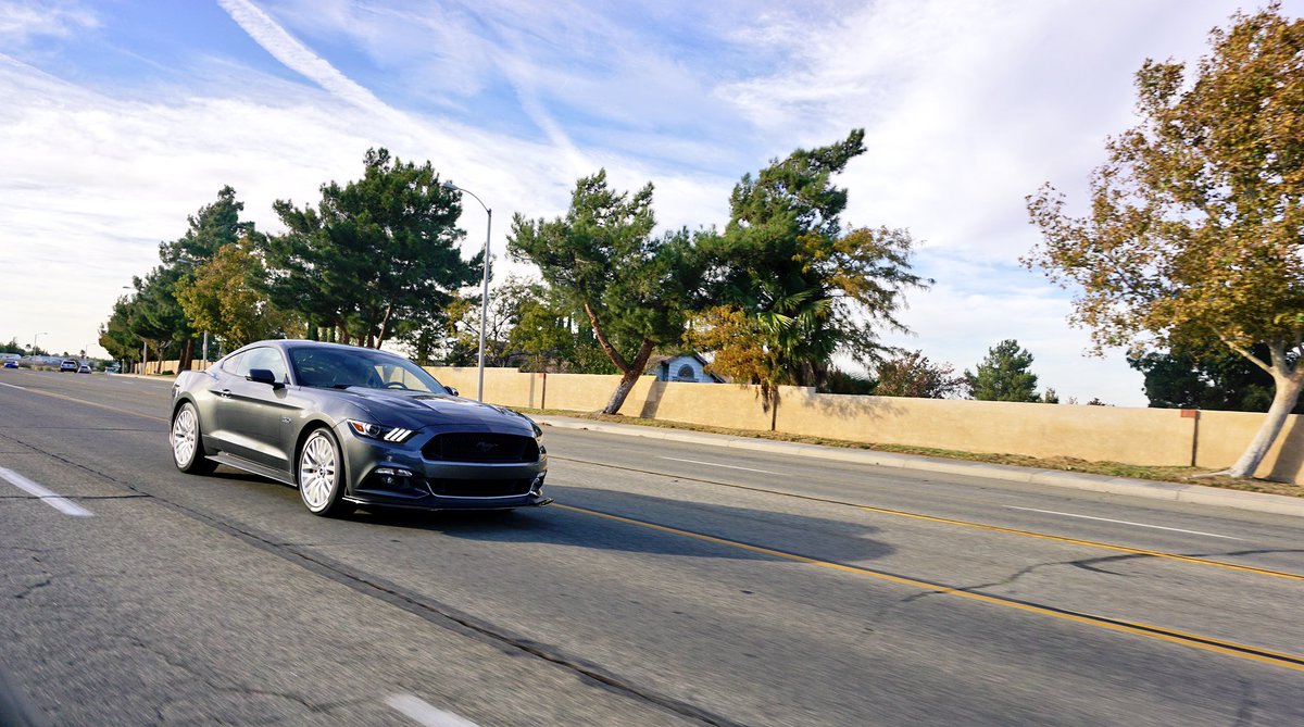 rb2jz's tweet image. Looking for people to hit on a fine afternoon. #mustangproblems #5pointslow owner @dannyfondu