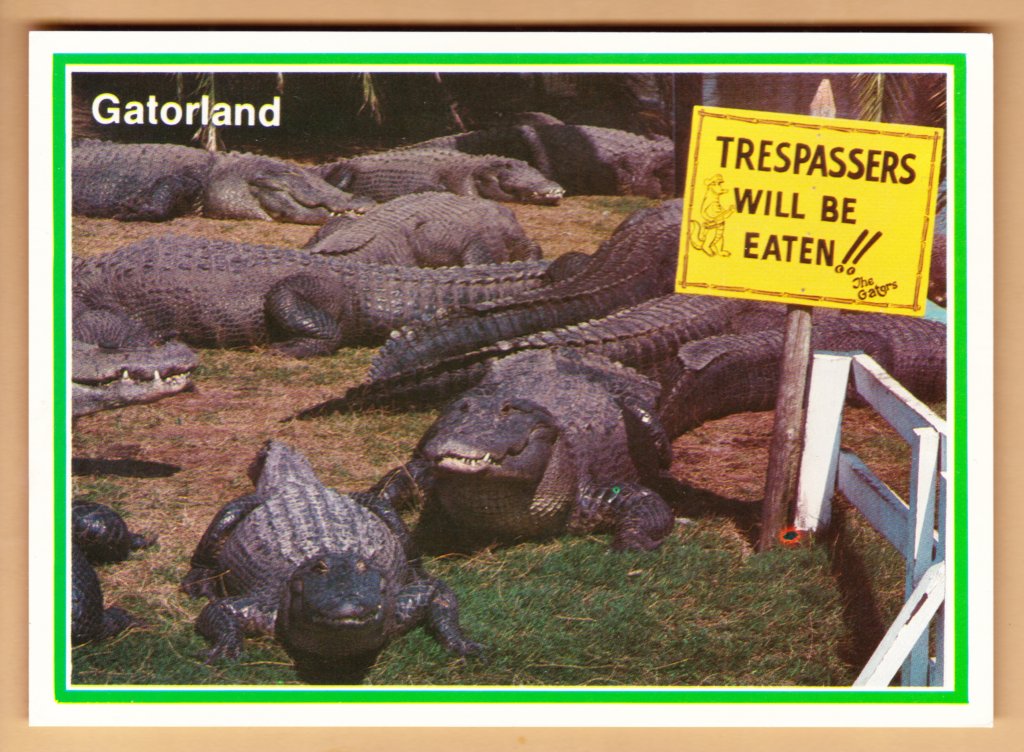 PostcardsPro's tweet image. Gatorland thepostcardsproject.com/gatorland/