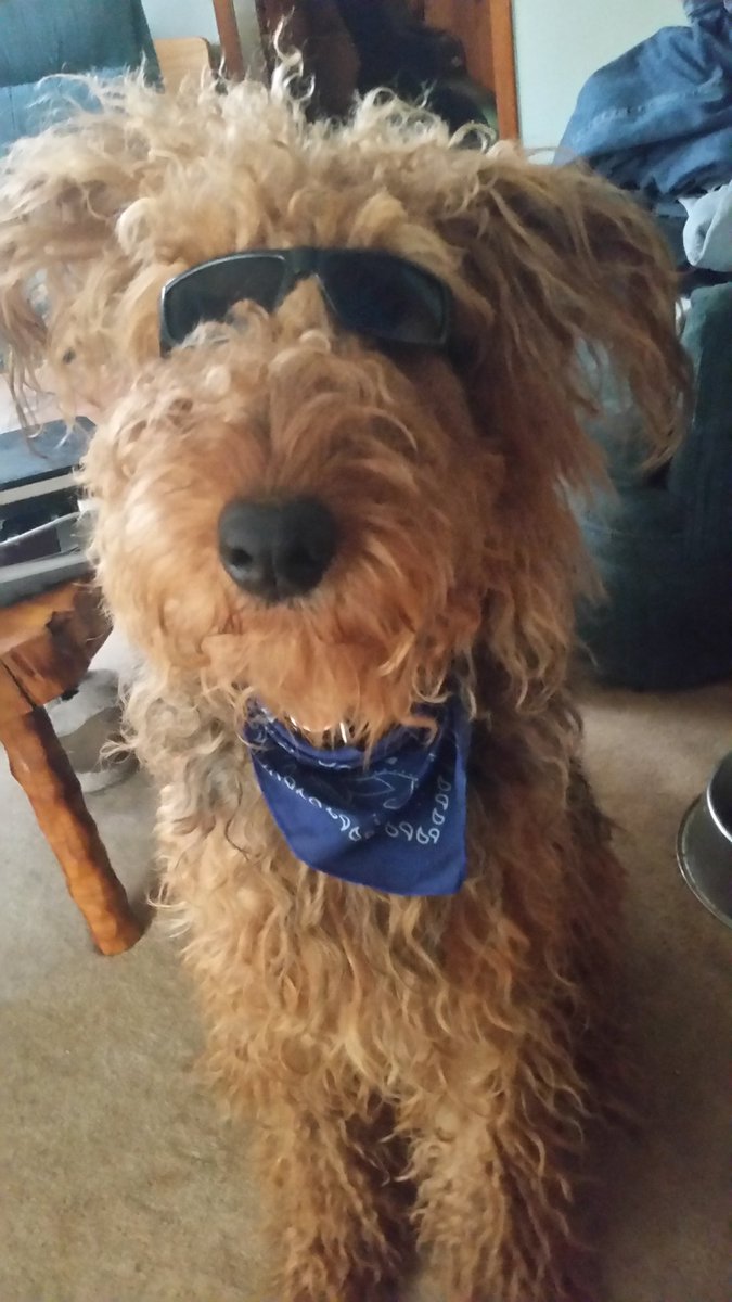 =:O) Elspeth 🇨🇦 tweet media