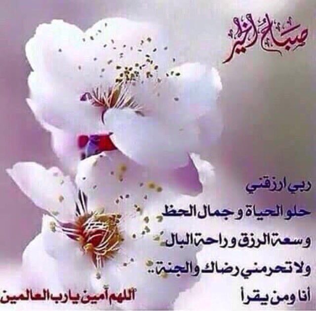 صباح الورد والياسمينnmjjp1