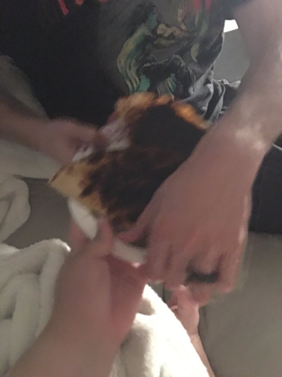 kathne's tweet photo. I tried to get a picture of my husbands attempt to make me a quesadilla for lunch. https://t.co/IE9pAtJ45J