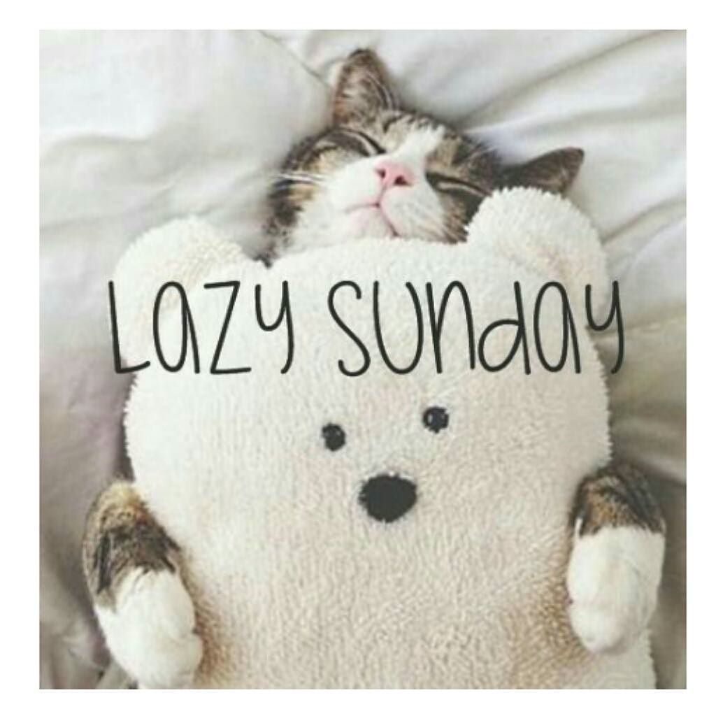 NowEyeSeeHer's tweet photo. #90DaysOfGratitude #9DaysOfGratitude #Grateful for #LazySundays
#LazySunday #LifeIsGood #… https://t.co/P0zNnD0JyR https://t.co/I0ggosTKXu