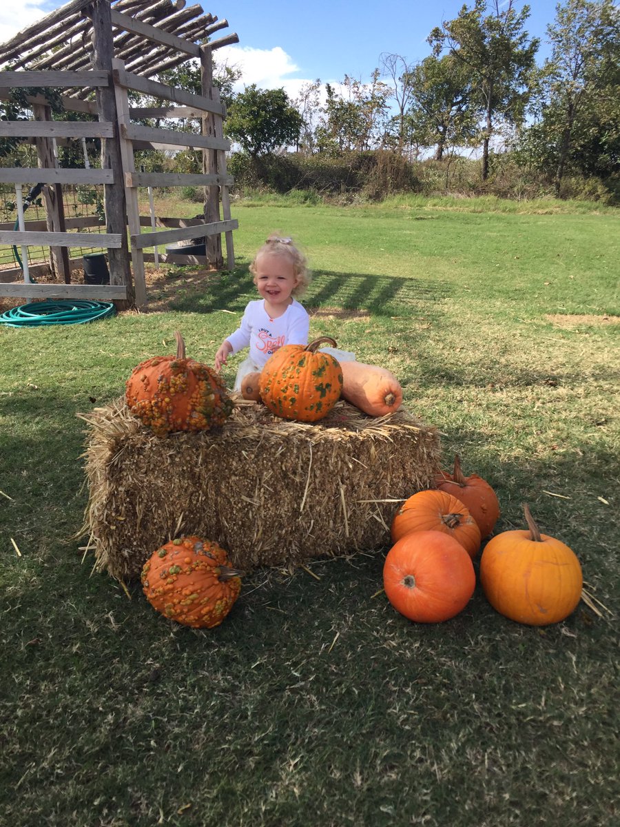 BrittanyonTV's tweet photo. Fun day with the family at #DentonValleyFarms in #Clyde today! The weather couldn't have been more perfect this weekend! 🎃🍂👨‍👩‍👧🍦🍑 #fallintx https://t.co/XaJas1ONxI