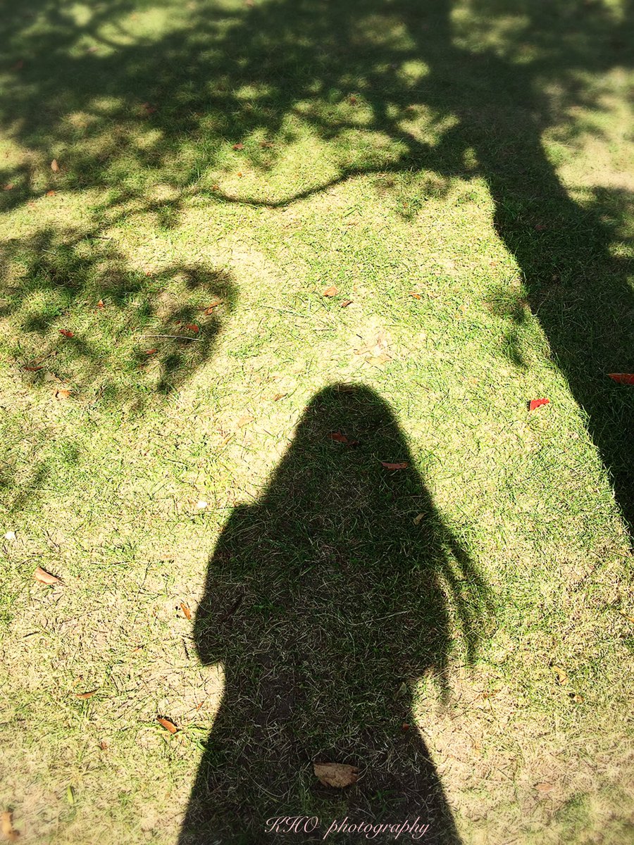 a_ARISU's tweet photo. 「 暖かなひととき 」

緑の芝生を見つめたら...落ち着く
自然て癒しの空間

#ファインダー越しの私の世界 #coregraphy https://t.co/4H0zIhVbK1