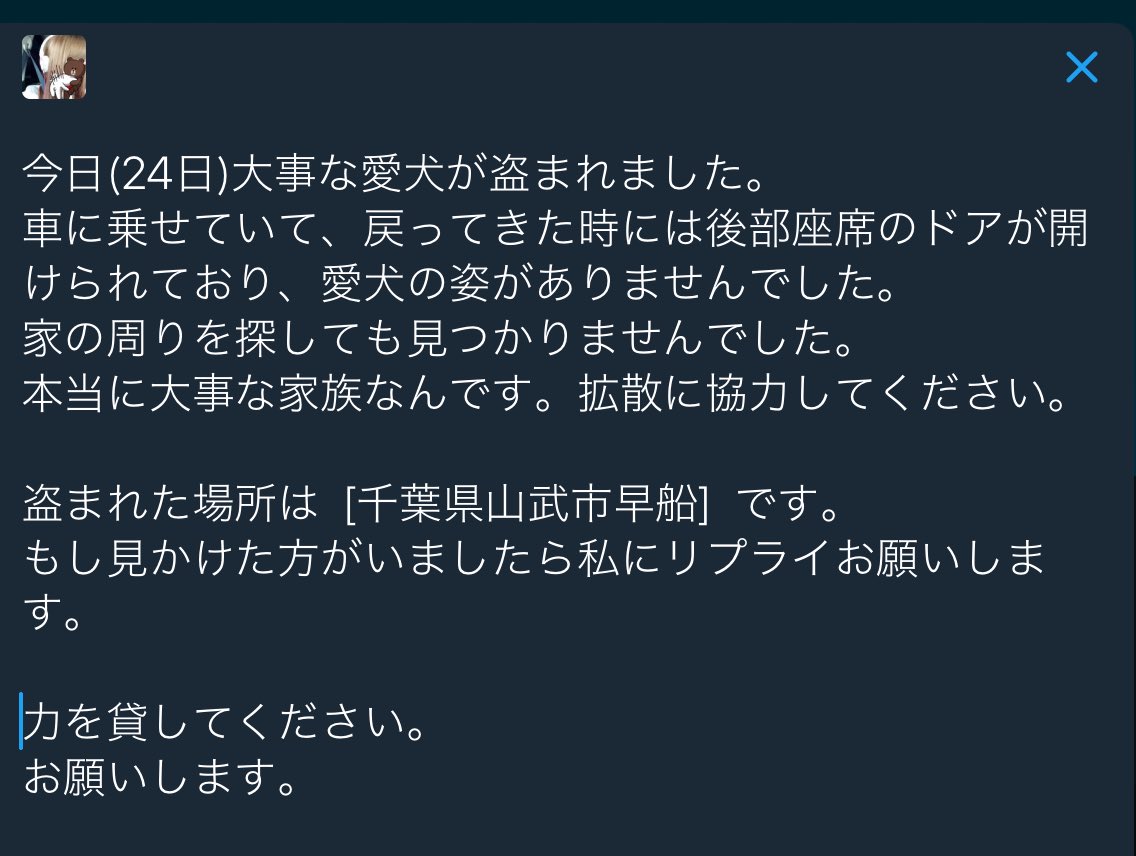 9696969696tapi's tweet photo. 愛犬が盗まれました。

協力してください。
お願いします。

#拡散希望
#拡散希望
#拡散希望
#拡散希望
#拡散希望 https://t.co/3JHbTrs74u