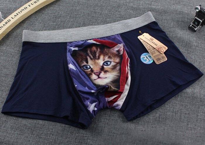 Banggood Official on X: Choose! A #cat underwear, a cat in your underwear  or a cat wearing underwear?    / X