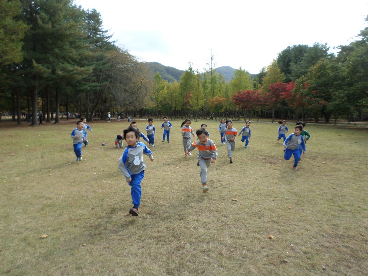 7세반의 졸업여행으로 다녀온 남이섬의 풍경에서 만연한 가을을 만나고 왔습니다.친구들과 식당에서 먹는  맛있는 점심과 가마솥에서 나온 따끈한 찐빵, 울긋불긋 단풍길, 구석구석 아름다운 볼거리가 가득했던 남이섬의 하루는 멋진 추억이 될 것 같습니다.~