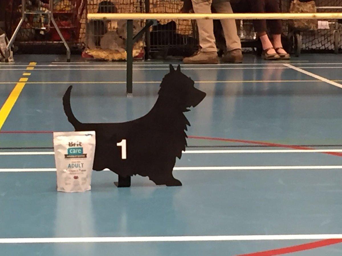 Wij zijn ook bij de hondenshow in Heteren. Brit Care gezonde betaalbare voeding