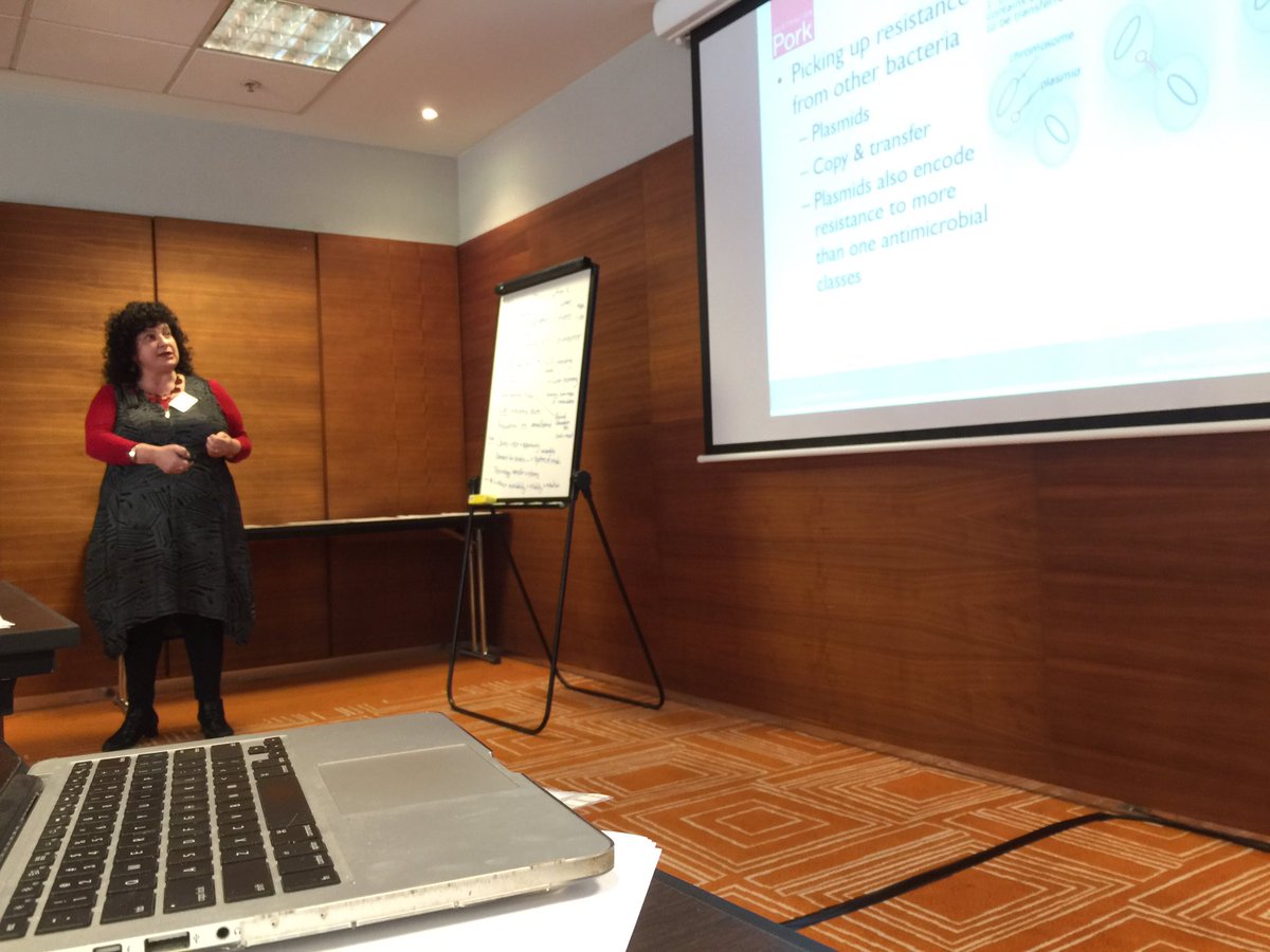 affectusaus's tweet photo. Pat Mitchell @Australian_Pork talking thru current research 2 #benchmarkers at @PorkCRC session - rats&bugs characters on agenda https://t.co/pxx1sKuMJK