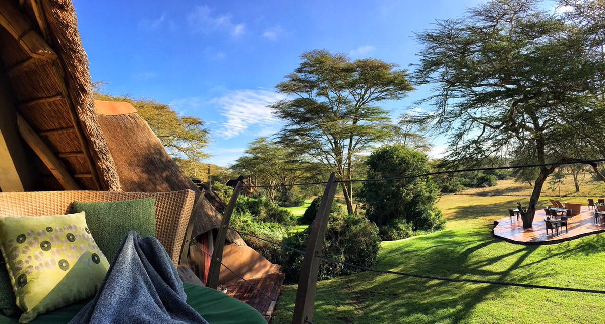 SharonMachira's tweet photo. Mornings at #SolioLodge || #SafariBug || @giraffe_manor 📸 by Sam Ghannam #MyBatteredLens https://t.co/uZRB3UgWtu
