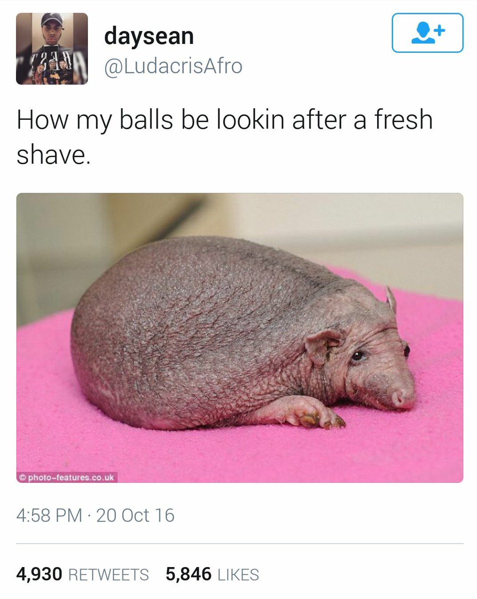 DennisTheOrc's tweet photo. Too true #ballsack#qanda https://t.co/l6mMO139hx
