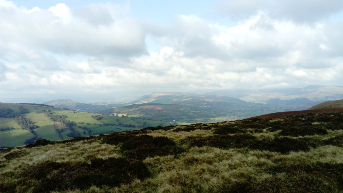 DeriLlwyn's tweet photo. #Gathering16 sheep 🐑 of the mountain, #Wales https://t.co/QFEucqZwa3