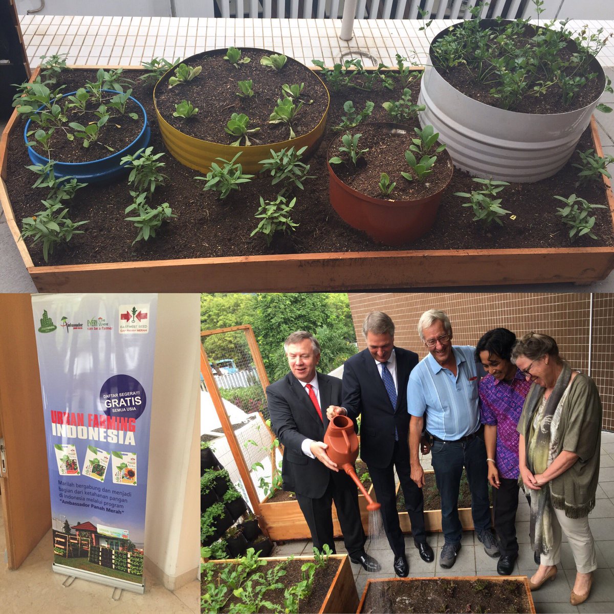 NLinIndonesia's tweet photo. Garden plots can help people reconnect with the Earth! (1/3) #UrbanFarm https://t.co/edm6ylWnKG