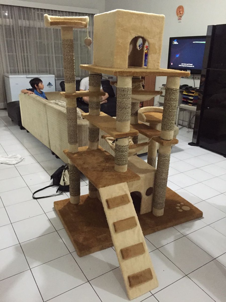DHEASELASIH's tweet photo. @DaerahJabar #jual Cat Scratcher,PO 14 hari,warna bebas pilih,asli buatan #bandung.order WA: 08112209299 https://t.co/NXCSoyDZ2E