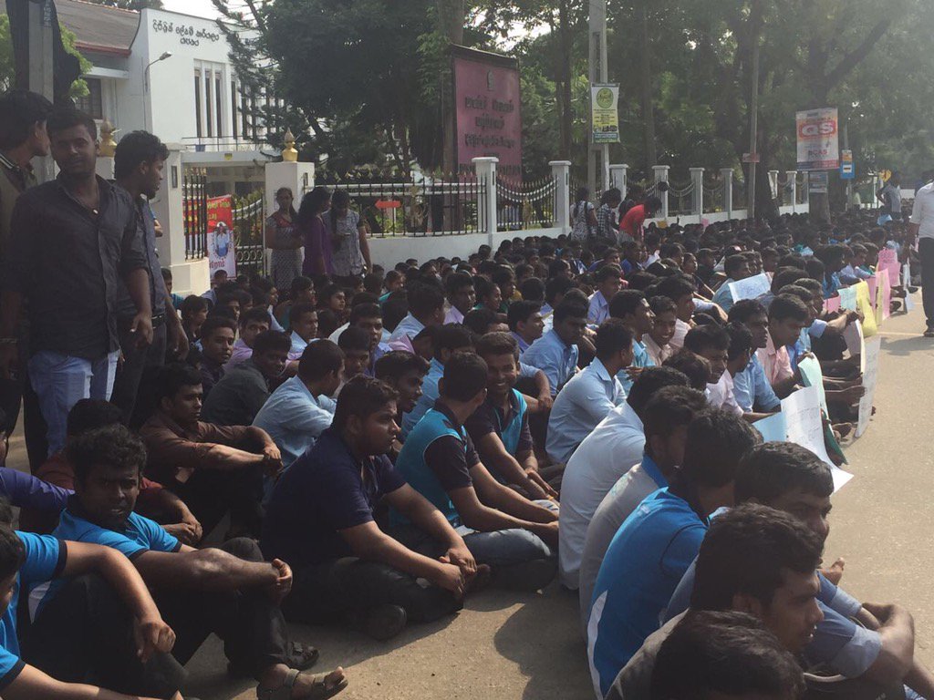 Frances Harrison tweet media