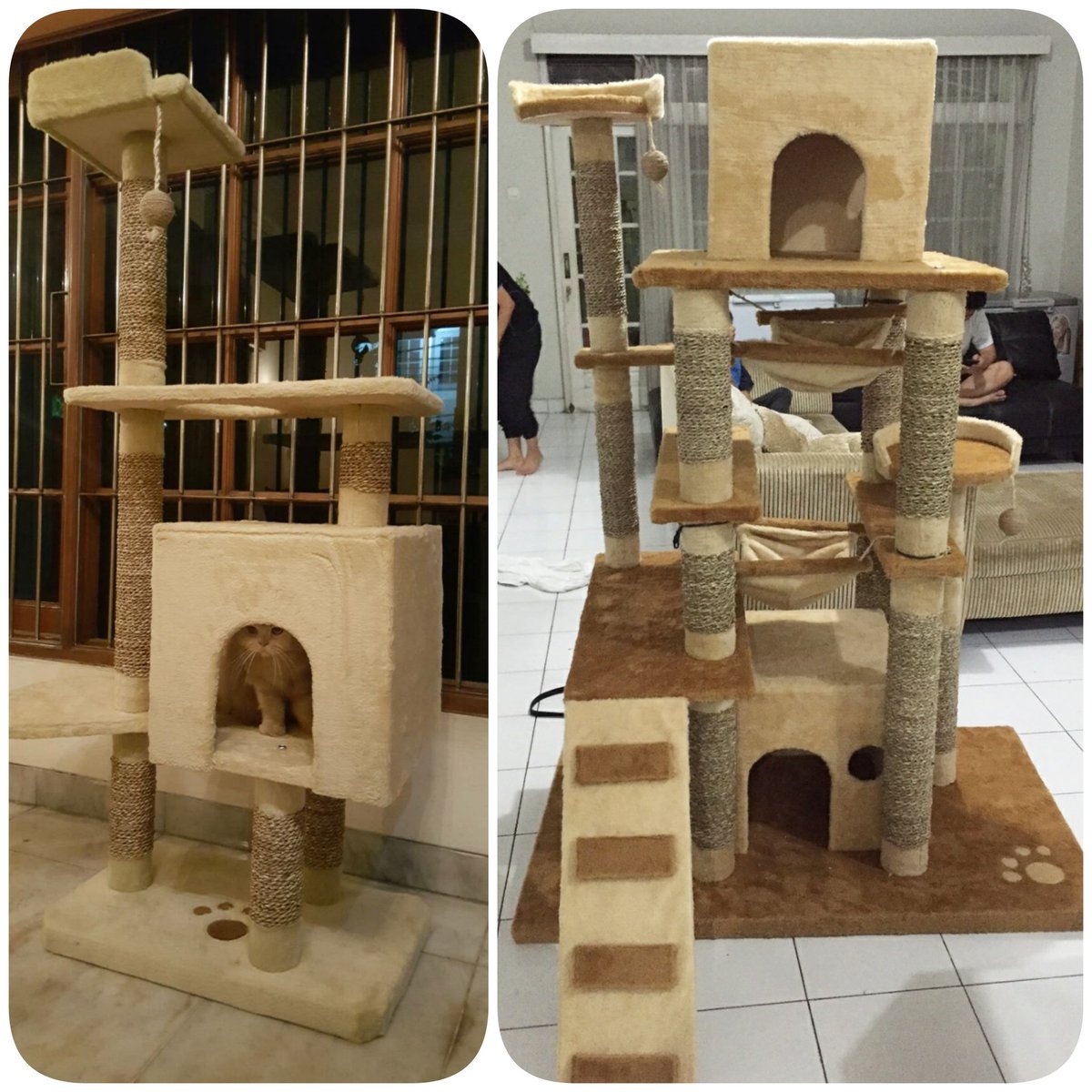DHEASELASIH's tweet photo. @infojakarta #jual Cat Scratcher,PO 14 hari,warna bebas pilih,asli buatan #bandung.order WA: 08112209299 https://t.co/6skUMtdOUm