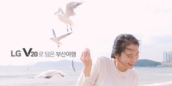 LG Mobile tweet media