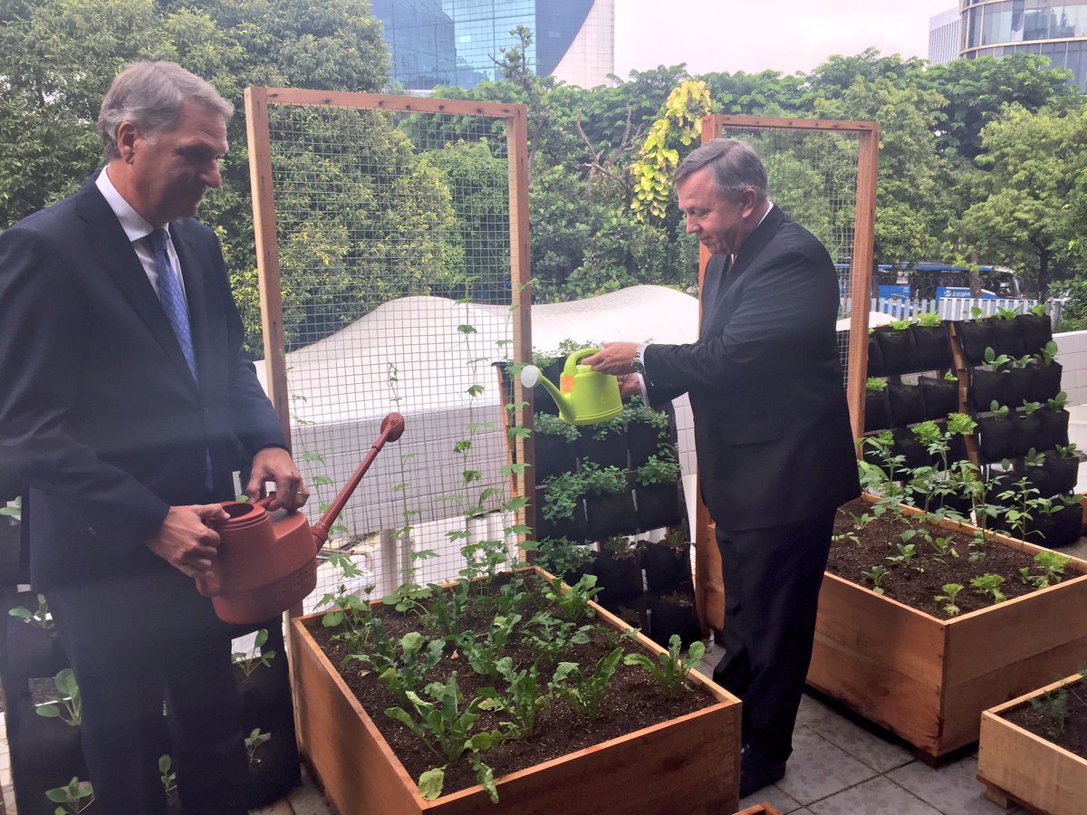 AgriNL_InMalSin's tweet photo. “Like a gardener I believe what goes down must come up.” #UrbanFarming Launch of @NLinIndonesia https://t.co/UDUvzKRG1f