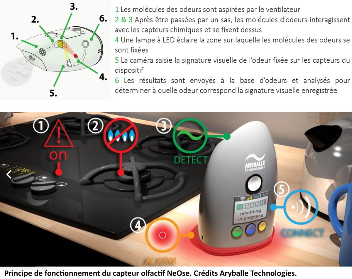 CNRSphysique's tweet image. Aryballe Technologies : un capteur d’odeurs électronique qui a du nez bit.ly/2ex2LtK #SPrAM #CNRSinnovation