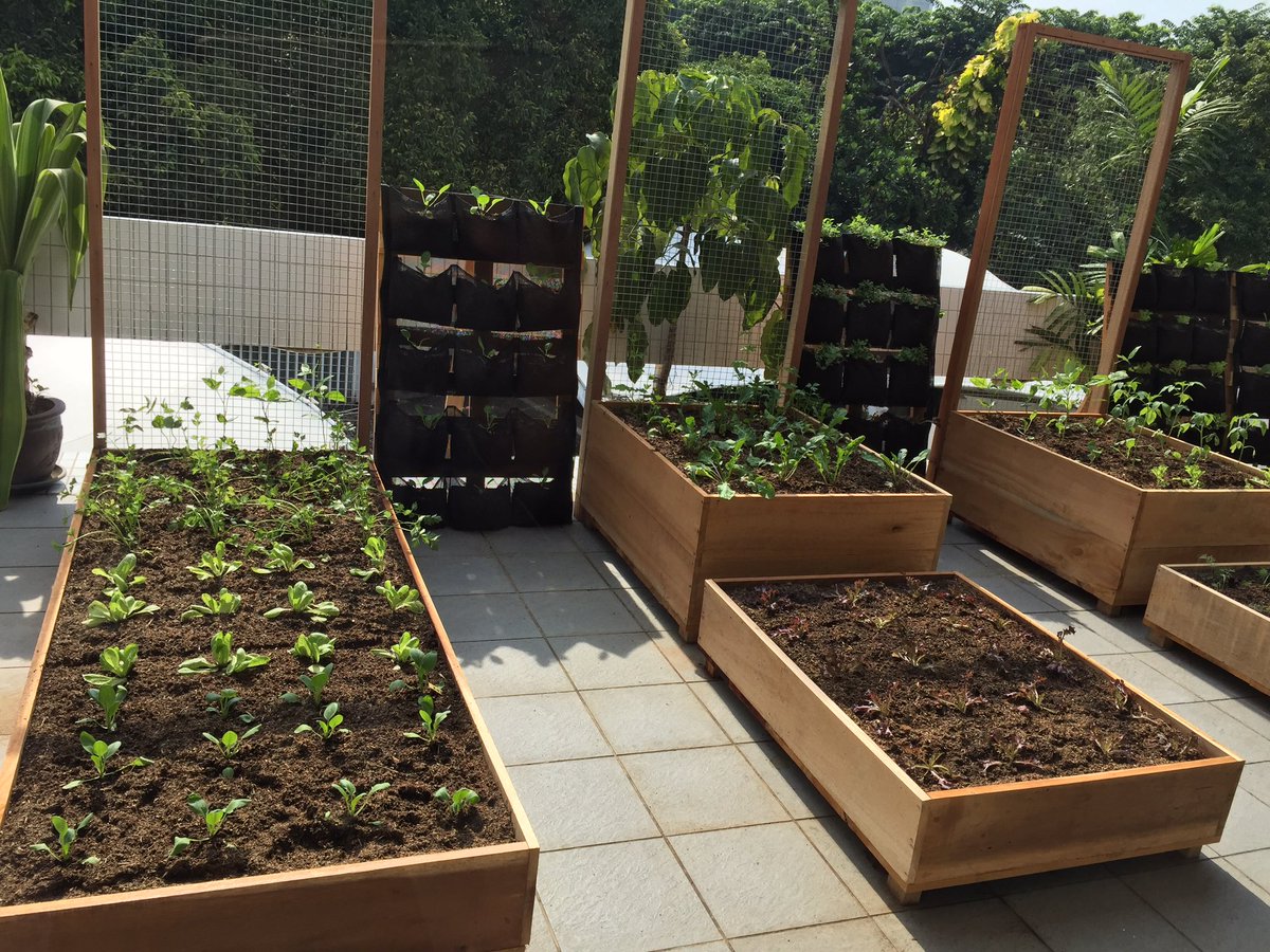AgriNL_InMalSin's tweet photo. ”Urban Farming is not only possible, it is crucial.” #UrbanFarming Launch https://t.co/dGfN2rbbX9