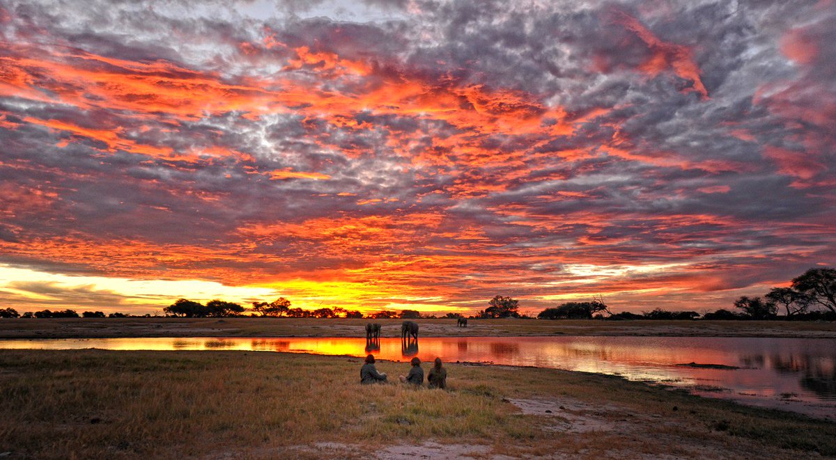 TrueTravel_'s tweet image. Nothing beats an African sunset....#redskies #Vicfalls #SomalisaCamp #Zimbabwe