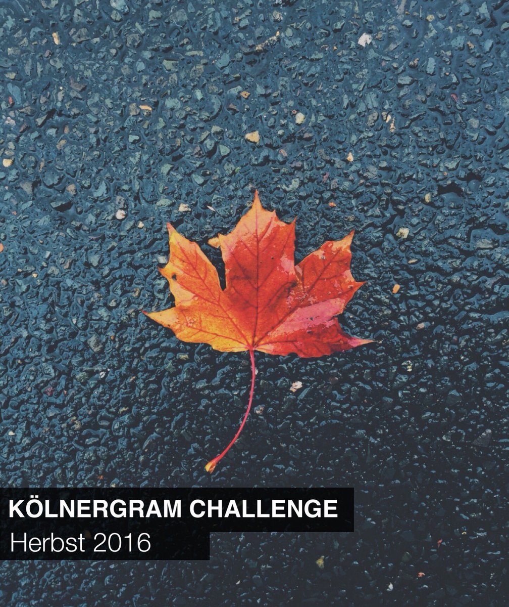 Koelnergram's tweet photo. Heut startet die neue Challenge, Thema: Herbst 🍁 schaut mal auf Instagram vorbei und macht mit bei der #koelnergram_challenge_herbst16 https://t.co/dKaeEqQRaM