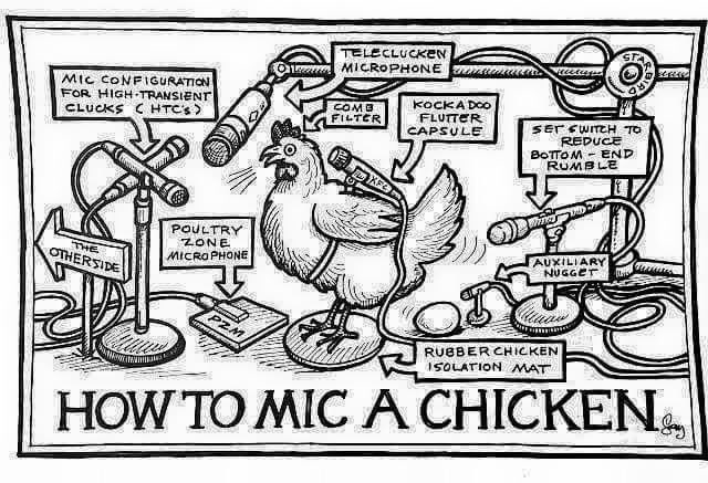 harry_rochez's tweet image. @Alex_Green142 Essential mic technique information. #microphone #mictechnique #chicken #howto @shure @GAK_CO_UK