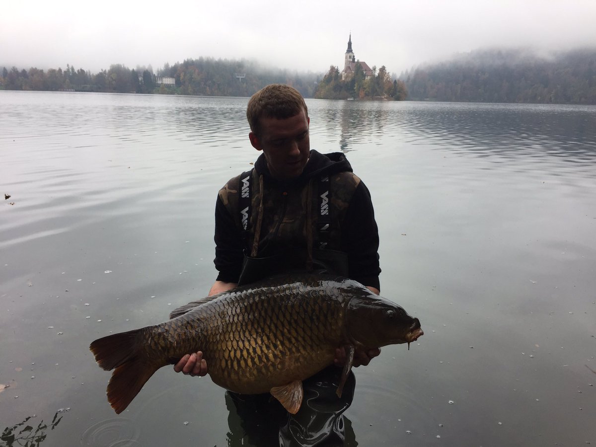 carpessential's tweet photo. Bled mid 40 https://t.co/7czp9z0sw4